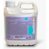 BurBur Pro Whitening šampon za ljubimce 4 litre Cene