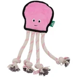 Octopus M