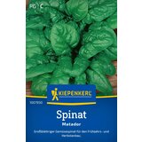 KIEPENKERL Špinača "Matador" - 1 pkt. | Shoptok.si