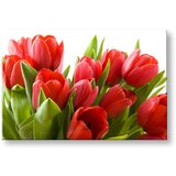  Slike na platnu CVETJE TULIPANI KV120E11 (moderne slike na) | Shoptok.si