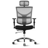 ERGOVISION Pisarniški stol Ergovision Smart Basic črno/siv | Shoptok.si