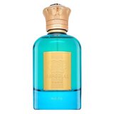 Riiffs Imperial Blue parfemska voda za muškarce 100 ml | shoptok.hr