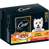 Cesar Selektion meso in zelenjava v želeju - 24 x 100 g Cene