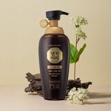 DAENG GI MEO RI New Gold Special Shampoo šampon za učvršćivanje za masnu kosu 500 ml | shoptok.hr