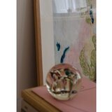 The Poster Club Plakat 50x70 cm Little Green – | Shoptok.si