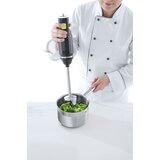  Palični Mešalnik 220V/250W, 71x444mm | Shoptok.si