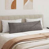 vidaXL Blazine za kavč 2 pcs Svetlo siva 145 x 40 cm Žametna tkanina | Shoptok.si