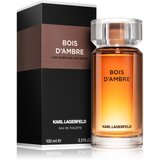 Karl Lagerfeld les Parfums Matières Bois d'Ambre toaletna voda 100 ml za muškarce | shoptok.hr
