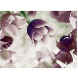  Tapeta - Heavenly tulips 350x270 | shoptok.hr
