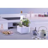  Botaneo EYLO Unutarnji Vrt | shoptok.hr