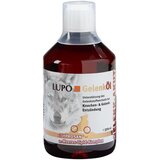 Lupo olje za sklepe - Varčno pakiranje: 2 x 250 ml Cijene