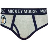 Licensed Boy's briefs Mickey Mouse 5 Pack - Frogies | Eponuda.ba