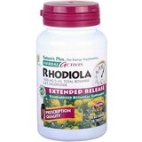Herbal aktiv rhodiola | Shoptok.si