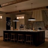 Elstead Lighting VISEČA SVETILKA Delarosa E27 | Shoptok.si