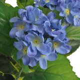  Umjetna Hortenzija s Posudom 60 cm Plava | Eponuda.ba