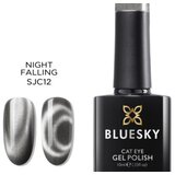  BLUESKY NIGHT FALLING CAT EYE TRAJNI LAK 10ML | Eponuda.ba