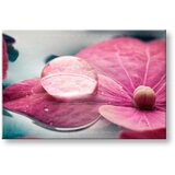  Slike na platnu cveće (moderne slike na platnu) | ePonuda.com