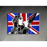  Ročno izdelana slika POP Art Ian Brown 3-delna (POP ART slike) | Shoptok.si