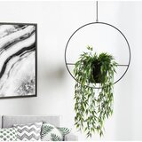 Aberto Design Žardinjera SEH-4559, 25x25x25 cm, Crna Cene