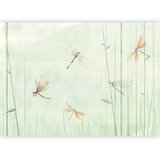  Foto tapeta - Dragonflies in the Meadow 350x256 Standard | shoptok.hr