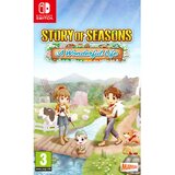 Marvelous igrica switch story of seasons - wonderful life