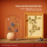 Yves Rocher Blueberry Wood darilni set | Shoptok.si