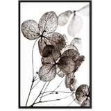  Slika - Transparent Clover (1 Part) Vertical 80x120 U crnom drvenom okviru | shoptok.hr
