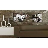  Slika - Chocolate Dance of Orchid 135x45 | shoptok.hr