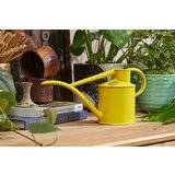 HAWS Kovinska zalivalka za sobne rastline "The Fazeley Flow" - 1 liter | Shoptok.si