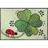 wash+dry PREDPRAŽNIK Glück auf allen Wegen 50/75 cm potiskano zelena, rdeča | Shoptok.si