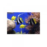 Olimp Sport podloga za miša fellowes earth sea 5909301 Cene