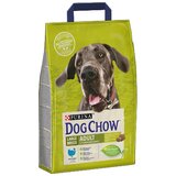 Dog Chow Adult Large Ćuretna, 14 kg