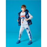 Sinsay Gornji dio trenirke Sonic The Hedgehog | shoptok.hr