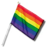 Majhna zastava z LGBT zastavo+ 30 cm, (21088127)