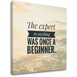  Motivaciona slika na platnu the expert in anything (moderne) Cene