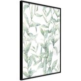  Poster - Sheer Batiste 20x30 | shoptok.hr