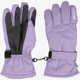 Wintro rukavice ski gloves Cijene