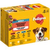 Pedigree multi pakiranje vrećice - 24 x 100 g miješani izbor u želeu (4 vrste) | shoptok.hr