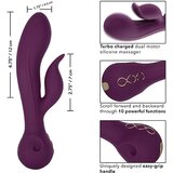 California Exotic Novelties Vibrator Obsession Desire (R14837) | Shoptok.si