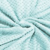  Deka od poliestera 200 x 220 cm - Menta | shoptok.hr