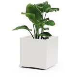  Kebe Quadro sa točkićima 40cm bela | ePonuda.com