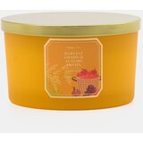 Sinsay Svijeća Harvest Grains & Autumn Fruits | shoptok.hr