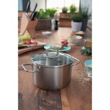 Fissler lonec Viseo® nerjaveče jeklo | Shoptok.si