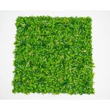 BOLZZ zeleni zid 3D amazon 2 100X100 cm BOLZZIDAMA2 u