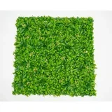 zeleni zid 3D amazon 2 100X100 cm BOLZZIDAMA2
