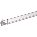 Alberts profil kutni alu za stube 45x23x2,5/1m | shoptok.hr