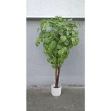 stablo lipa 170 cm 877031