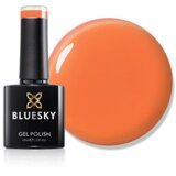  BLUESKY TRAJNI SOME LIKE IT HOT 10ML | Eponuda.ba