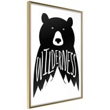  Poster - Wild Bear 20x30 Cijene