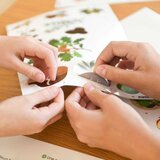 Poppik Edukativni poster sa nalepnicama Otkrića: Drvo 6+ | Eponuda.com
